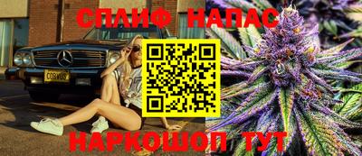 твердый Будённовск