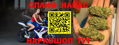 твердый Будённовск